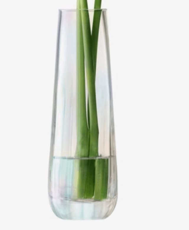 Pearl Vase H36cm Mother of Pearl