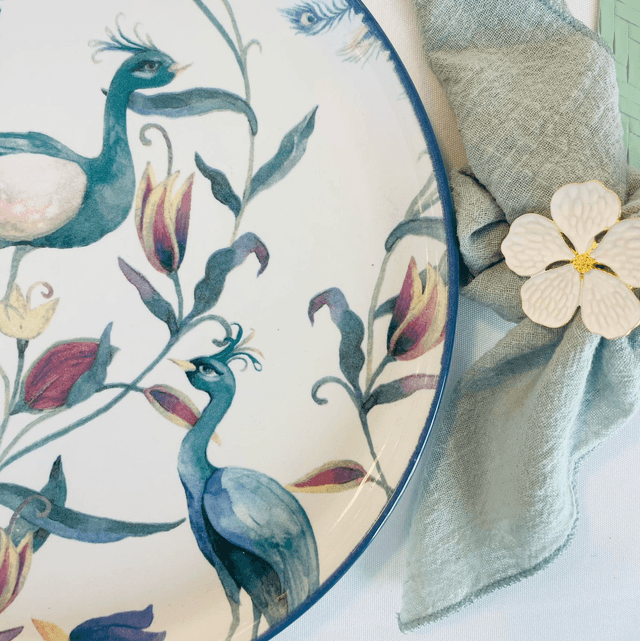 ASSIETTES OISEAUX x6